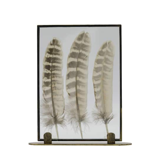 Framed Floating Feather Tabletop Décor by Ashland®